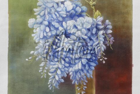 A Bouquet of Wisteria