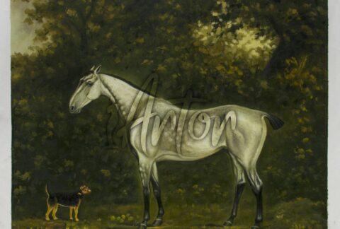 A Dappled Grey Hunter with a Terrier amongst the Trees