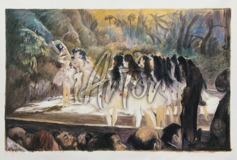 Ballet at the Paris Opera