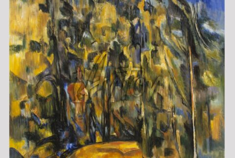 Bend in the Forest Road