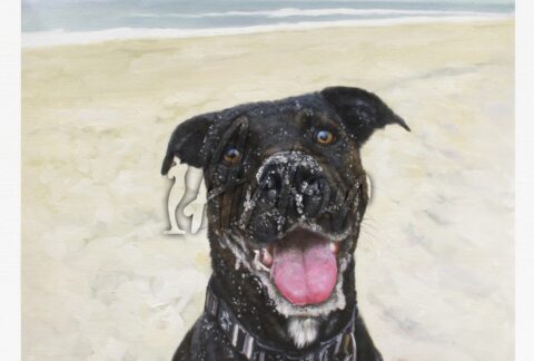 Black Dog Oil Portrait