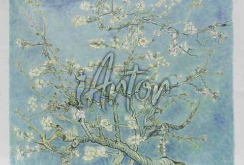 Branches with Almond Blossom