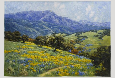 California Poppyfield