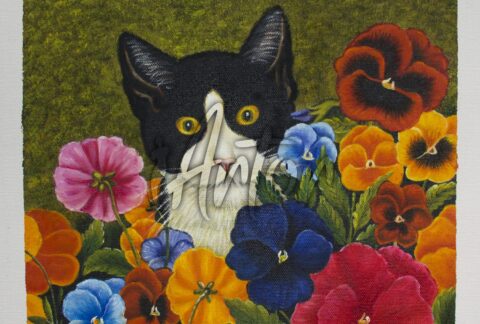 Cat in the Pansies