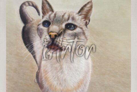 Cat Oil Portrait