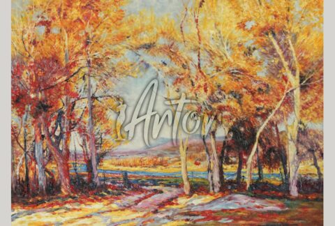 Cottonwoods on the Mojave