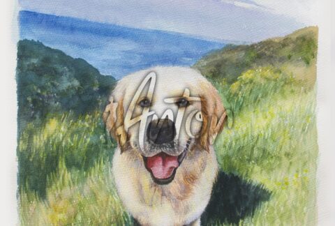Cute Dog Watercolor