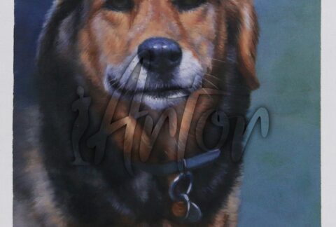 Dog Oil Portrait 5