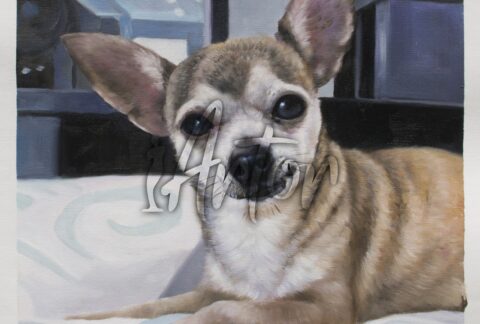 Dog on the White Sofa