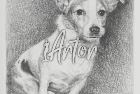 Dog Pencil Sketch Gift