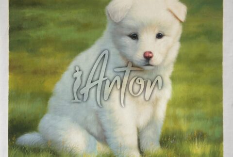 Dog Photo to Oil Painting