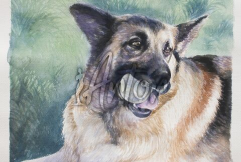Dog Playing Ball Watercolor