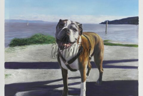 Dog Playing Near the Seaside