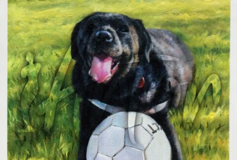 Dog Playing White Football