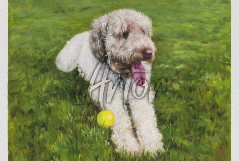 Dog Portrait on Canvas