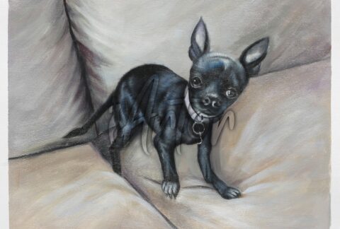 Dog Portrait Photo to Painting