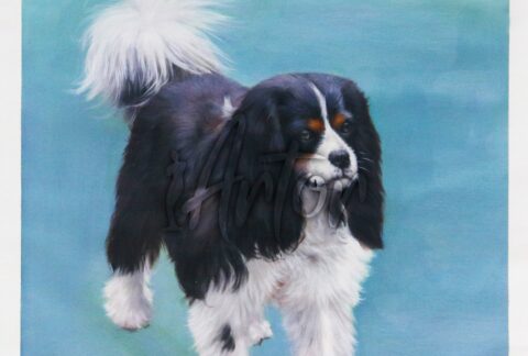 Dog Portrait with Wood Frame