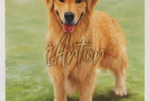 Dog Realistic Oil Portrait