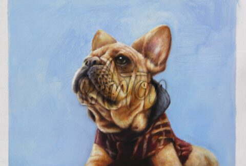 Dog Waiting for the Master