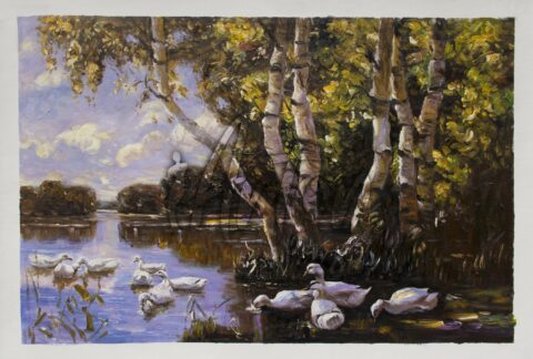 Eleven ducks under the birch in the water