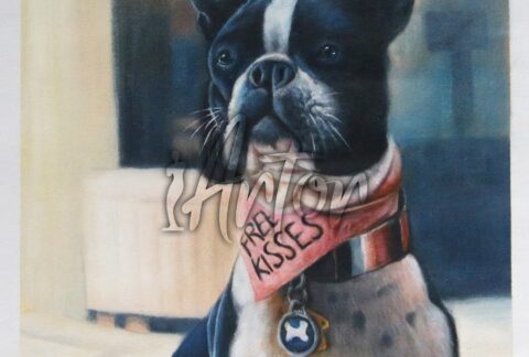 French Bulldog Portrait