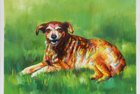 Golden Retriever on the Grass