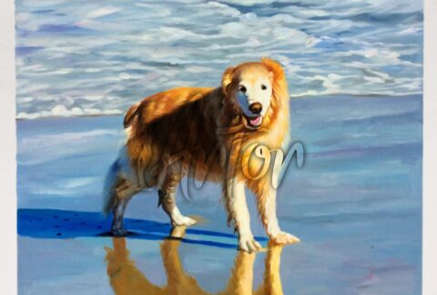 Golden Retriever Playing on the Beach