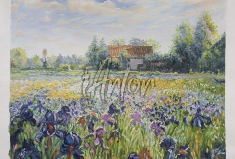 House in the Flowers