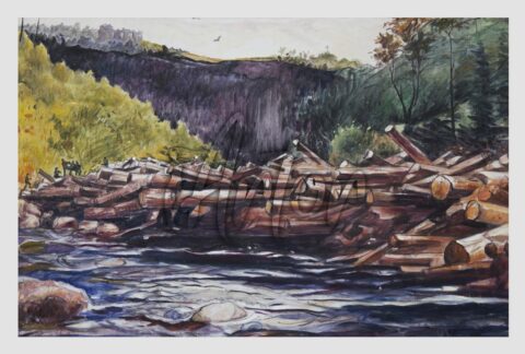 Hudson River at Blue Ledge, Essex County, also known as The Log Jam