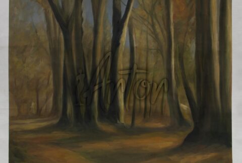 La Foret de Fountainbleau