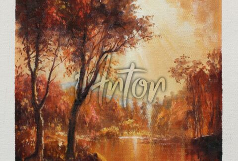 Landscape in a Sunny Day