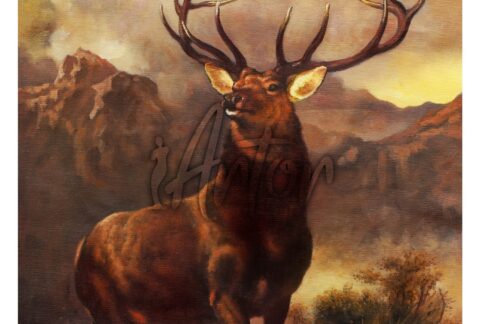 Monarch of the Glenn