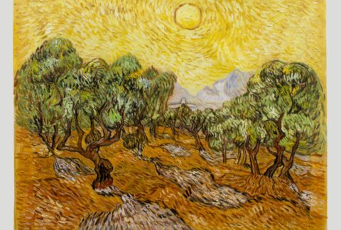 Olive Trees with Yellow Sky and Sun