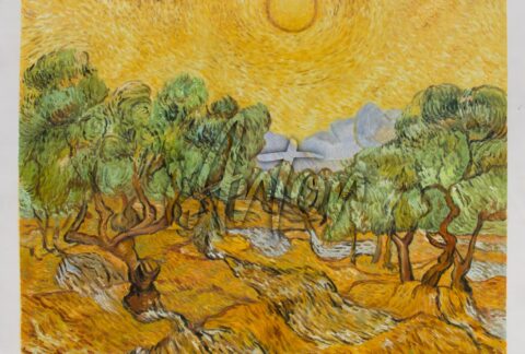Olive Trees with Yellow Sky and Sun