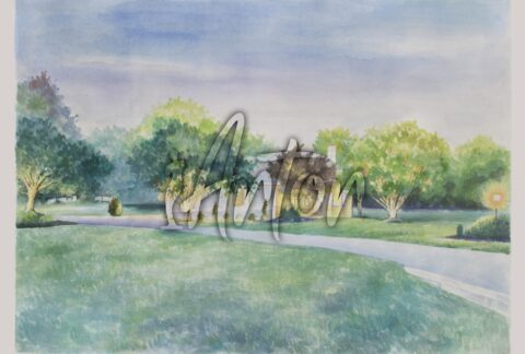 Our House Behind the Trees