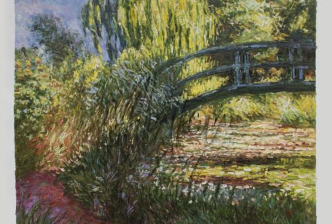 Path along the Water-Lily Pond