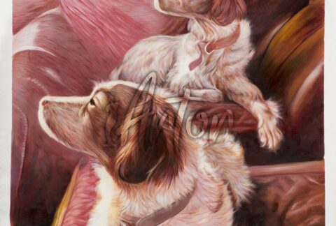 Photo to Painting Dog