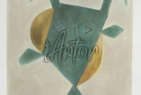 Picasso Portfolio of 13