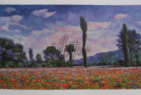 Poppy Field in Giverny