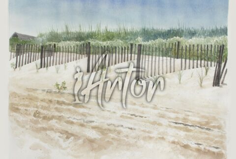 Road to Friend House