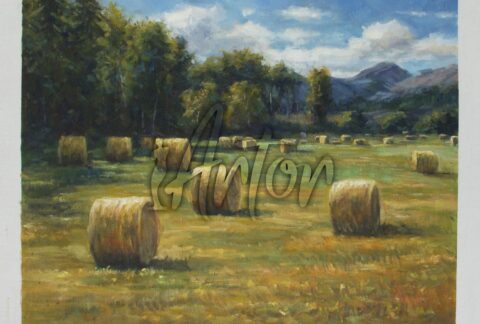 Round Bales