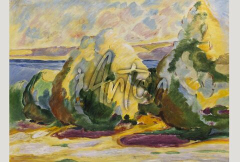 Study in Colour and Form