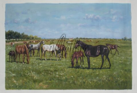 Stuten mit ihren Fohlen