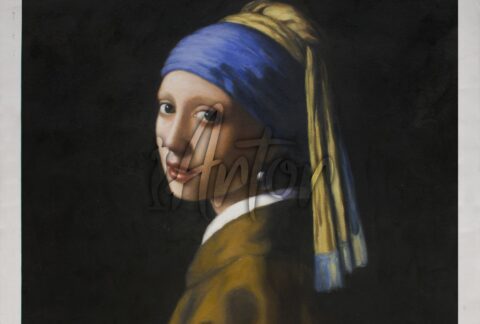 The Girl with a Pearl Earring