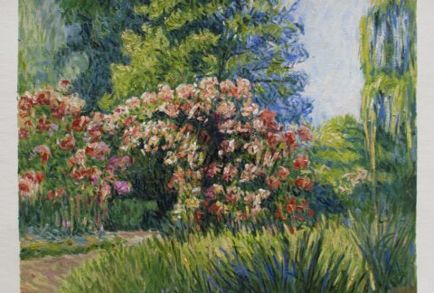 The Monet Rose Garden
