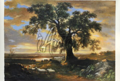 The Solitary Oak, also known as The Old Oak