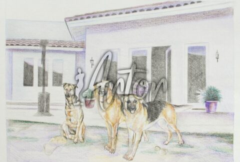 Three Dogs in Front of House