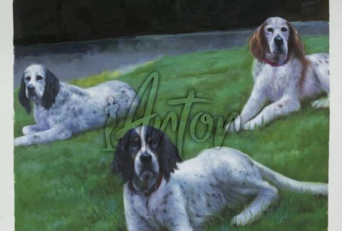 Three Dogs on Grass