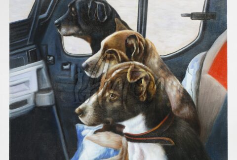Three Dogs on the Car