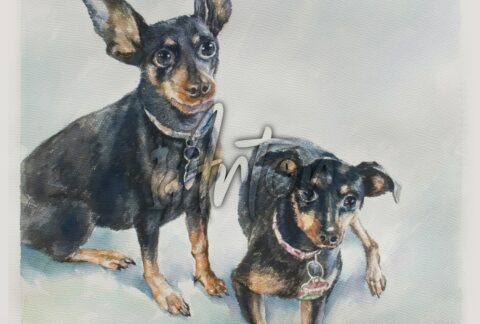 Two Dogs Watercolor